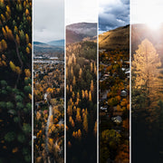 Autumn in Montana 2024 Postcard Set [PRESALE]