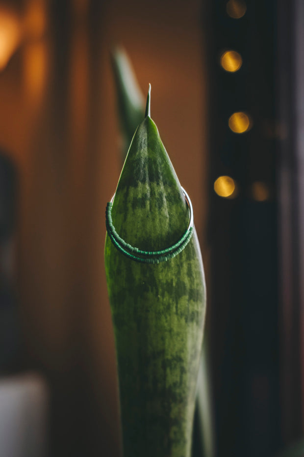 My Future is Unlimited Hoops [PREORDER]