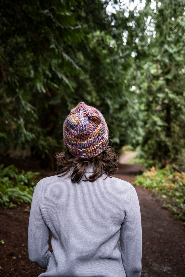 Bainbridge Beanie in Ozdust