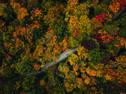 Fall In Vermont Postcard Set